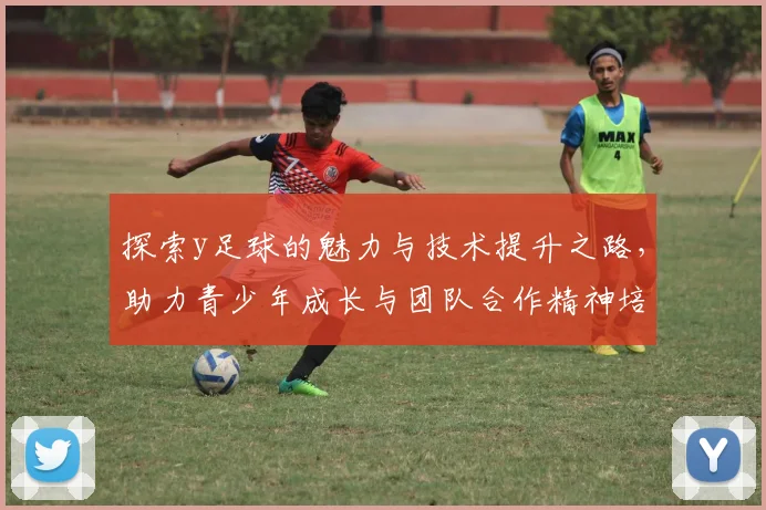 探索y足球的魅力与技术提升之路，助力青少年成长与团队合作精神培养