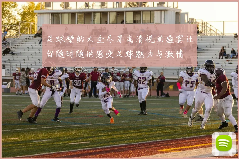 足球壁纸大全尽享高清视觉盛宴让你随时随地感受足球魅力与激情